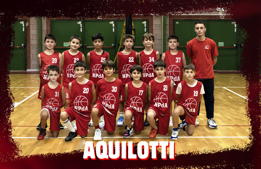 Aquilotti 2025-2026