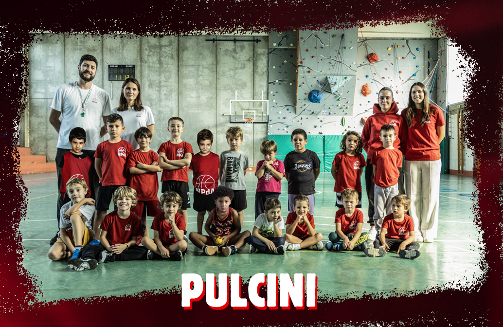 Pulcini 2025-2026